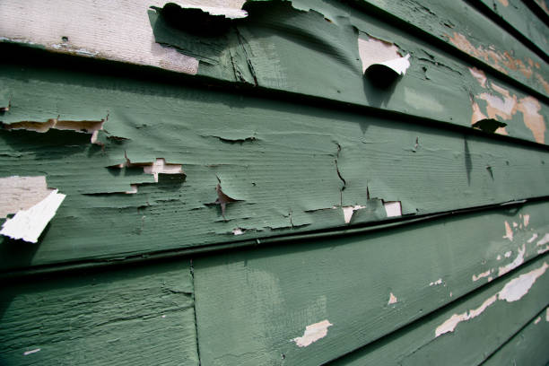 Best Residential Junk Removal  in Cutchogue, NY