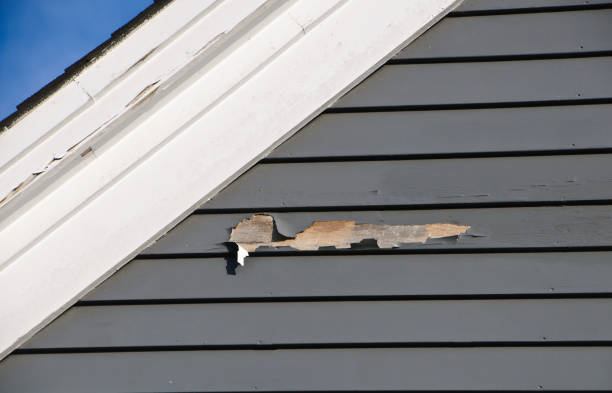Best Construction Debris Removal  in Cutchogue, NY